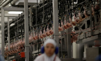 Cliente Frigorífico